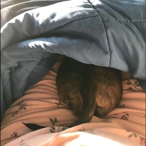 Meet your Posher, Deborah